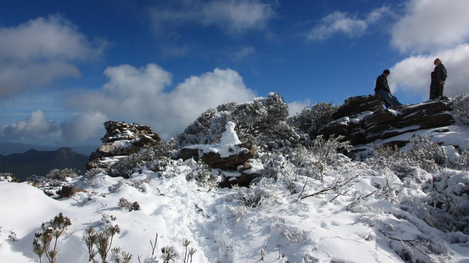 Some hikers enjoying the snow at Mt William in winter