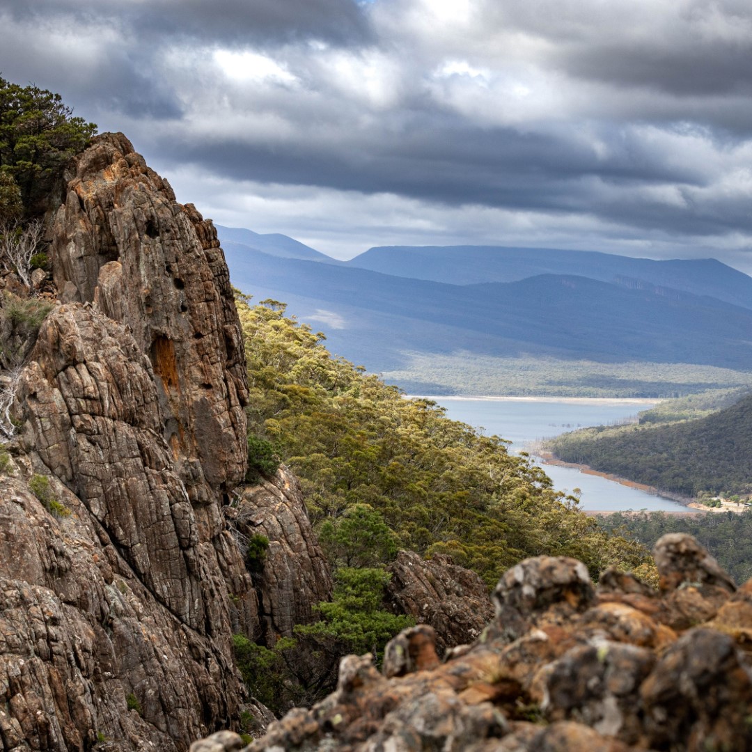 Boronia Peak Large