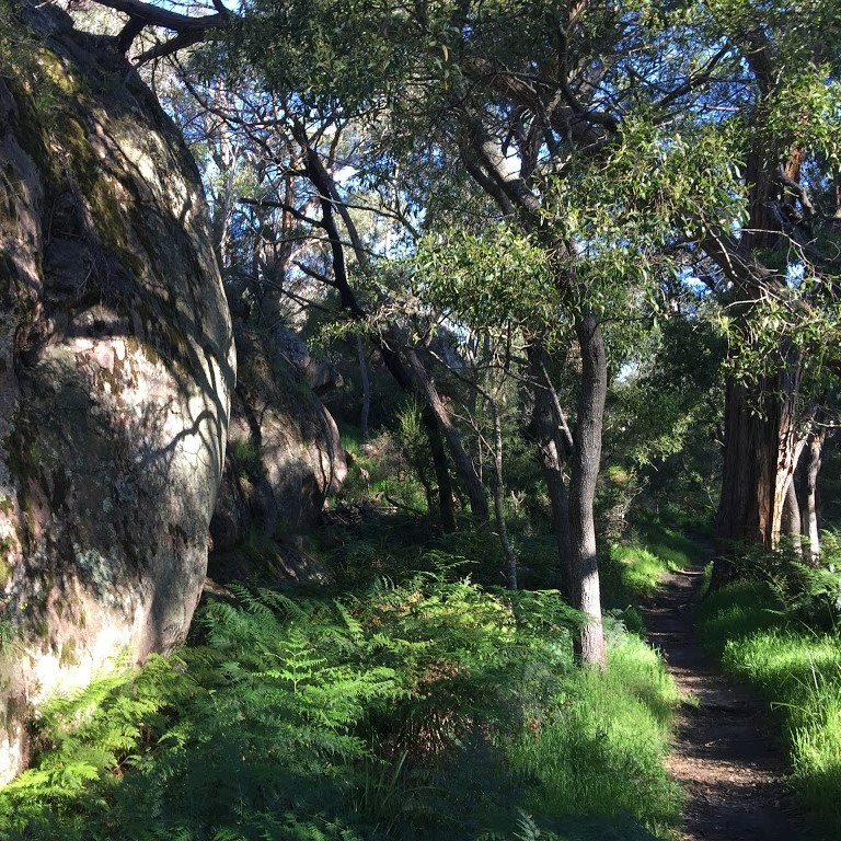 Delleys Bridge Loop