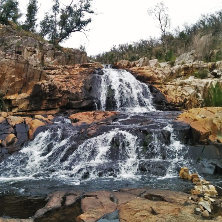 Fish Falls