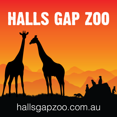 Halls Gap Zoo